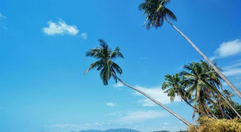 Baan Suan Sook Resort Chaweng  Bagian luar foto